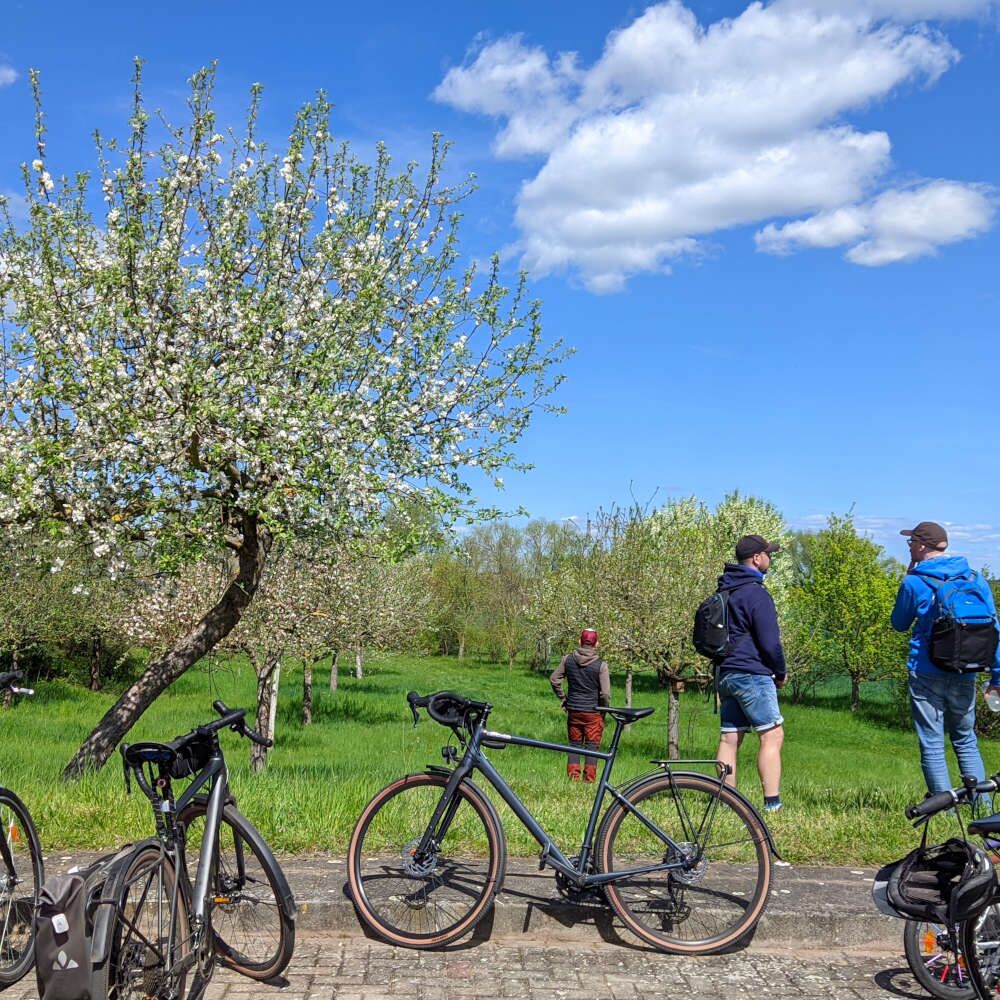Gemeinsame Radtour zum Tag der Streuobstwiese - Foto: NABU/Grit Liebelt