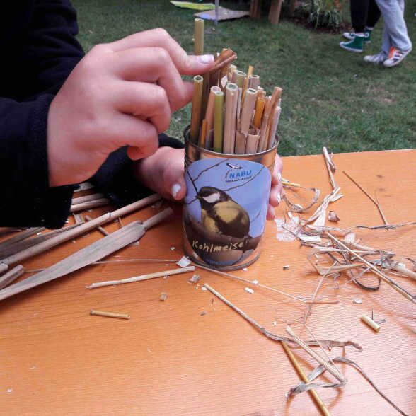 Insektenhotels basteln