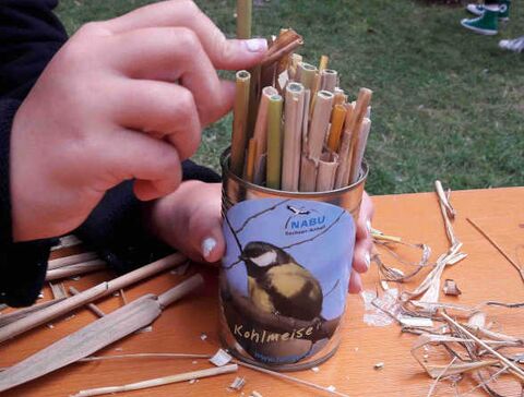 Insektenhotel basteln