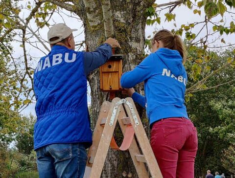 Nistkästen anbringen