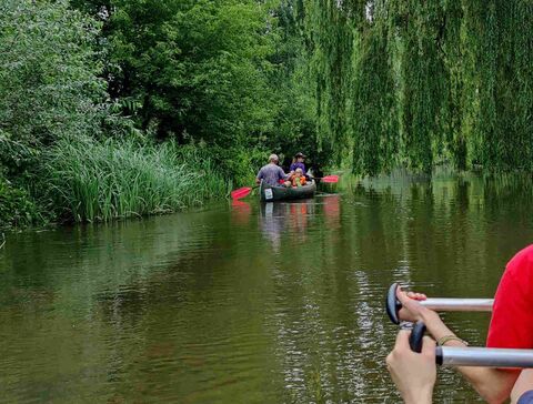 Paddeltour auf der Ohre