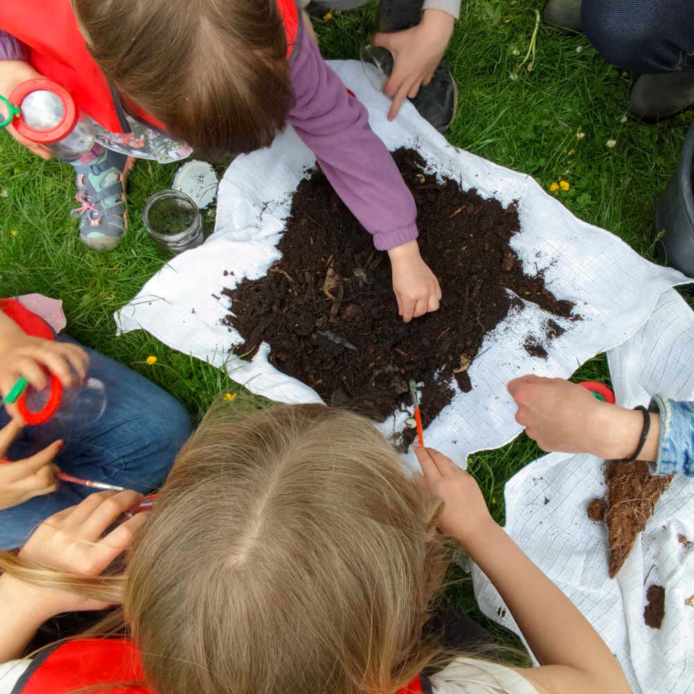 Lebewesen im Kompost - Foto: NAJU/Grit Liebelt